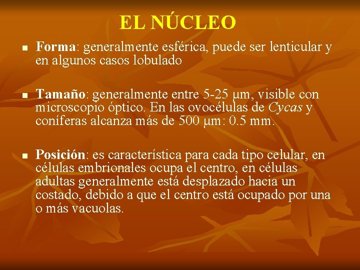 EL NÚCLEO n Forma: generalmente esférica, puede ser lenticular y en algunos casos lobulado