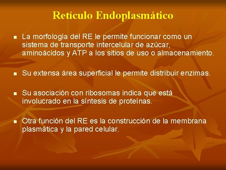 Retículo Endoplasmático n n La morfología del RE le permite funcionar como un sistema