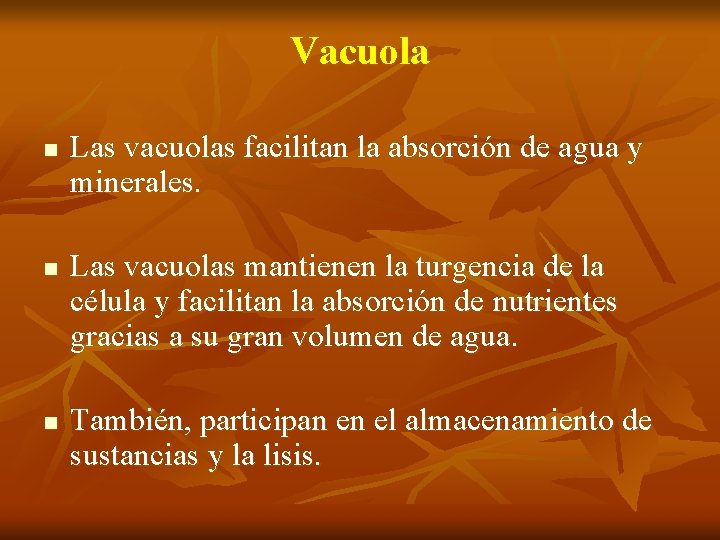 Vacuola n n n Las vacuolas facilitan la absorción de agua y minerales. Las