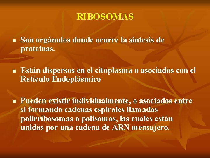 RIBOSOMAS n n n Son orgánulos donde ocurre la síntesis de proteínas. Están dispersos