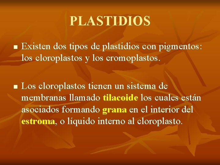 PLASTIDIOS n n Existen dos tipos de plastidios con pigmentos: los cloroplastos y los