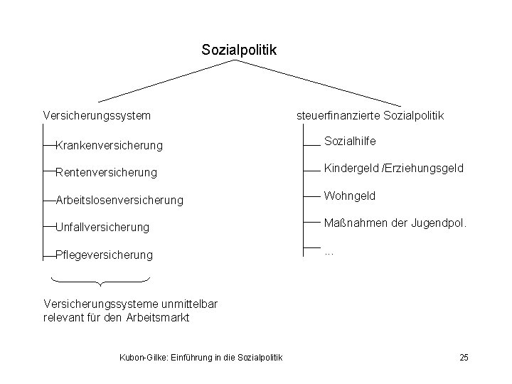 Sozialpolitik Versicherungssystem steuerfinanzierte Sozialpolitik Krankenversicherung Sozialhilfe Rentenversicherung Kindergeld /Erziehungsgeld Arbeitslosenversicherung Wohngeld Unfallversicherung Maßnahmen der