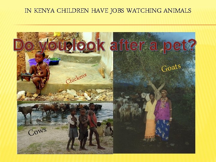 IN KENYA CHILDREN HAVE JOBS WATCHING ANIMALS Do you look after a pet? C