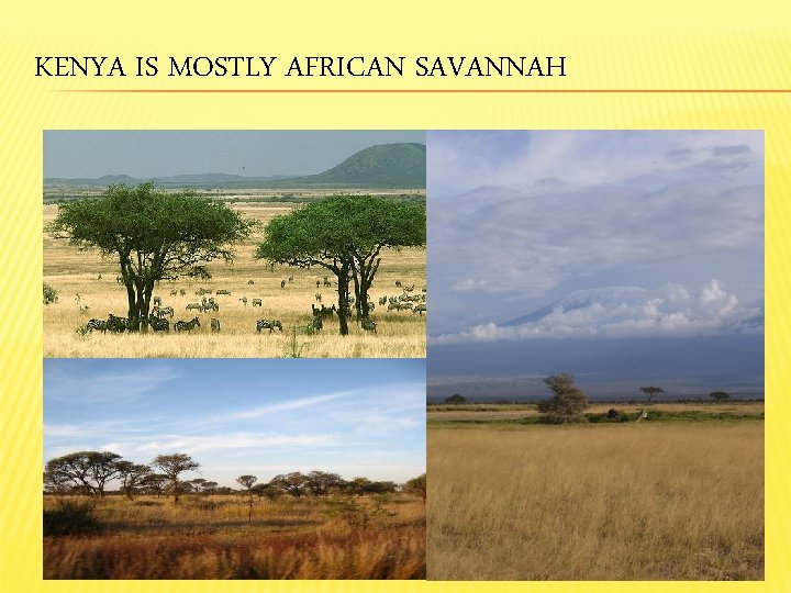 KENYA IS MOSTLY AFRICAN SAVANNAH 