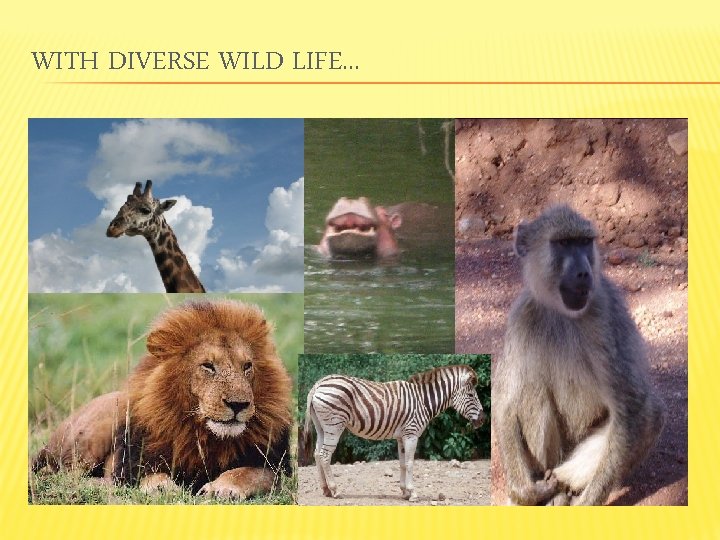 WITH DIVERSE WILD LIFE. . . 