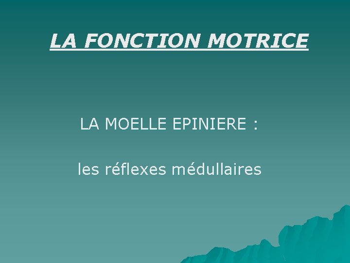 LA FONCTION MOTRICE LA MOELLE EPINIERE : les réflexes médullaires 