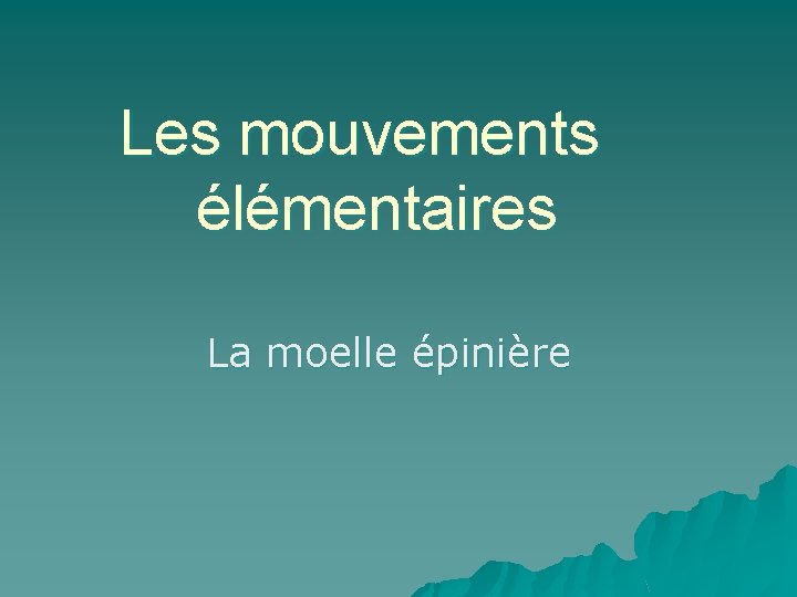 Les mouvements élémentaires La moelle épinière 