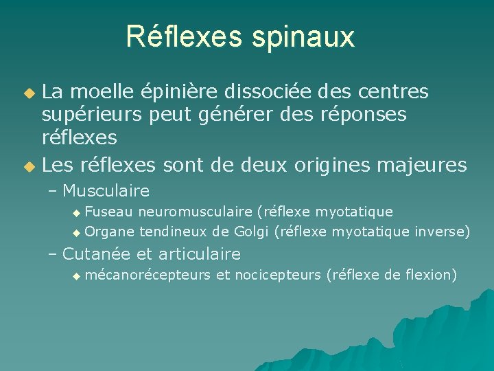 Réflexes spinaux La moelle épinière dissociée des centres supérieurs peut générer des réponses réflexes