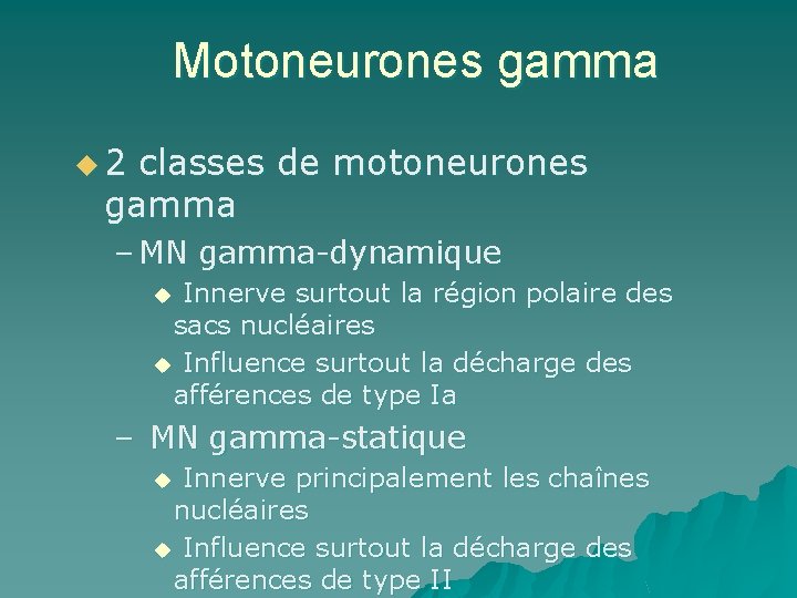 Motoneurones gamma u 2 classes de motoneurones gamma – MN gamma-dynamique u Innerve surtout