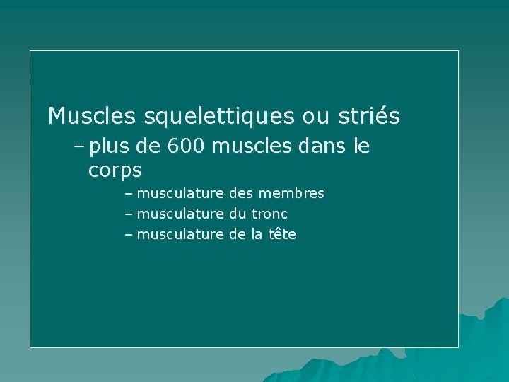 Muscles squelettiques ou striés – plus de 600 muscles dans le corps – musculature