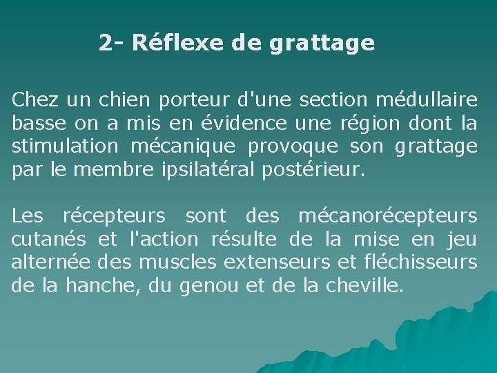 2 - Réflexe de grattage Chez un chien porteur d'une section médullaire basse on