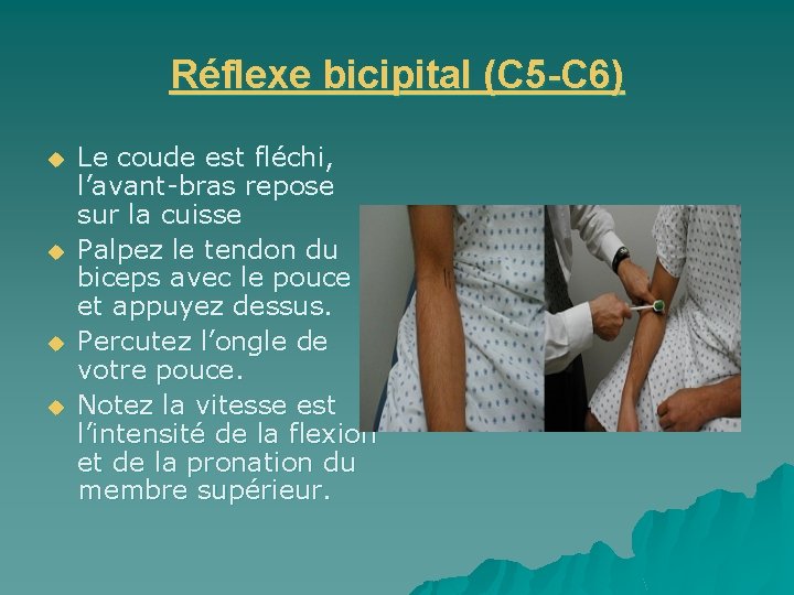 Réflexe bicipital (C 5 -C 6) u u Le coude est fléchi, l’avant-bras repose