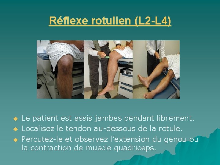 Réflexe rotulien (L 2 -L 4) u u u Le patient est assis jambes
