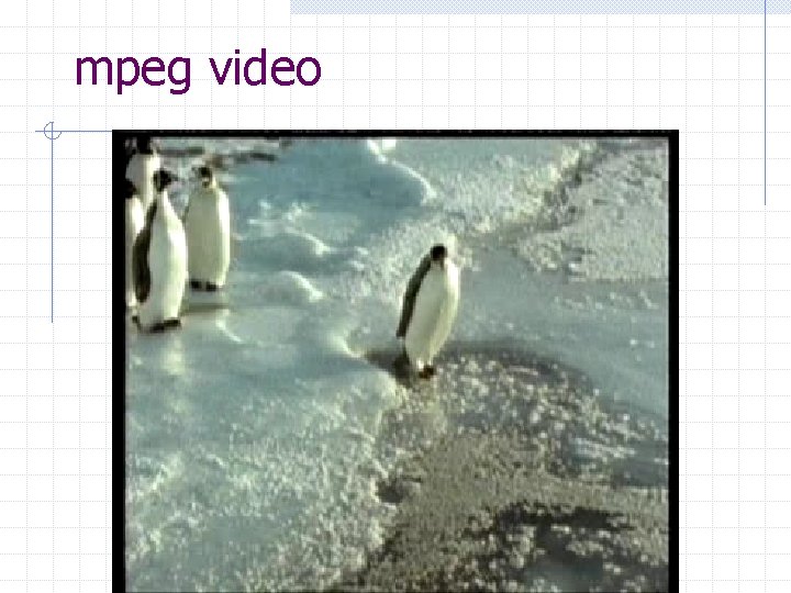 mpeg video 