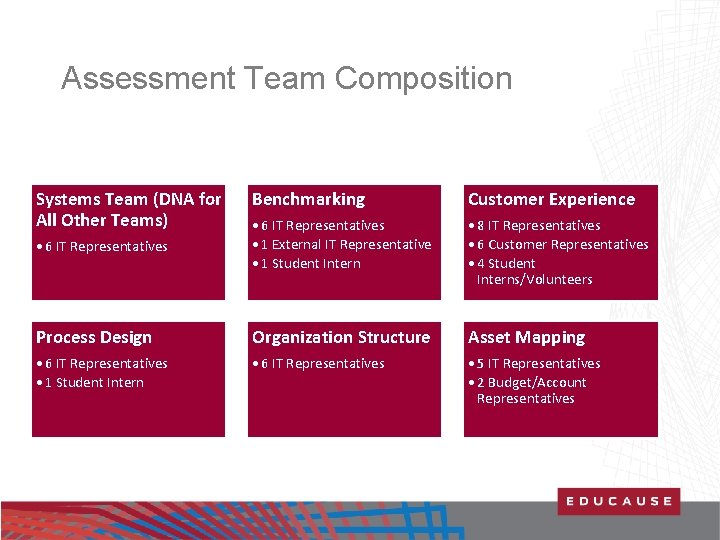 Assessment Team Composition Systems Team (DNA for All Other Teams) Benchmarking Customer Experience •