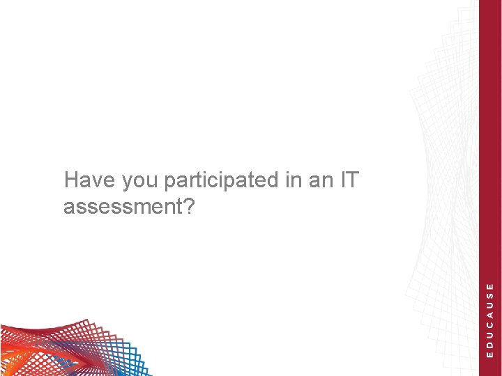 Have you participated in an IT assessment? 