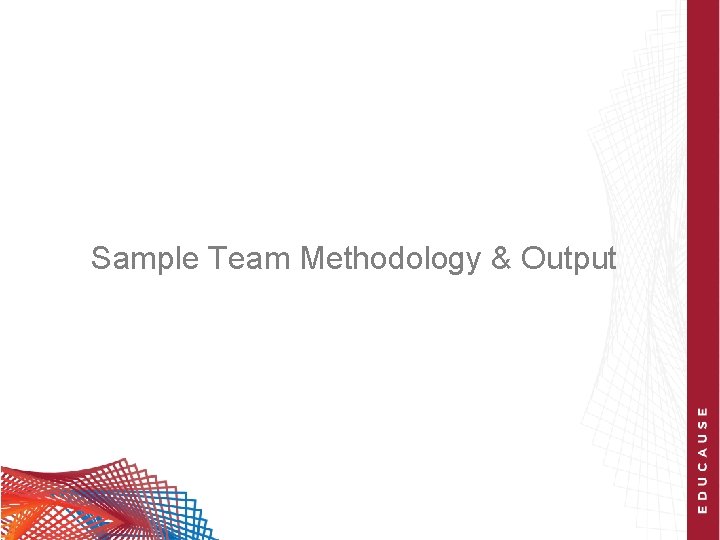 Sample Team Methodology & Output 