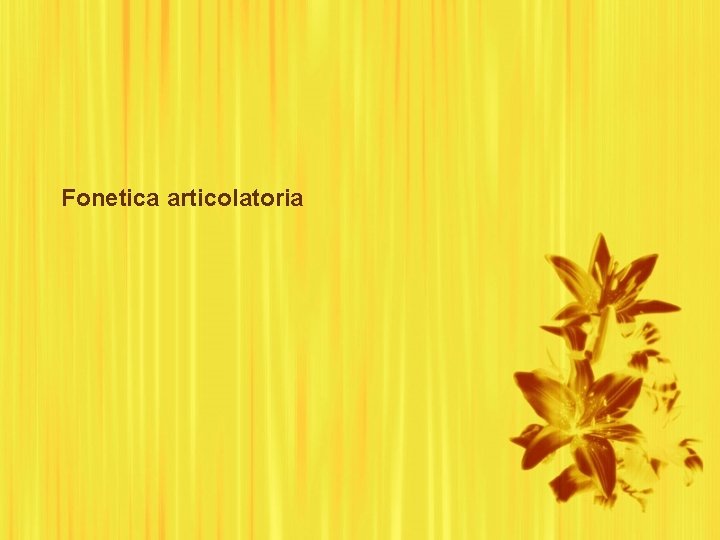 Fonetica articolatoria 