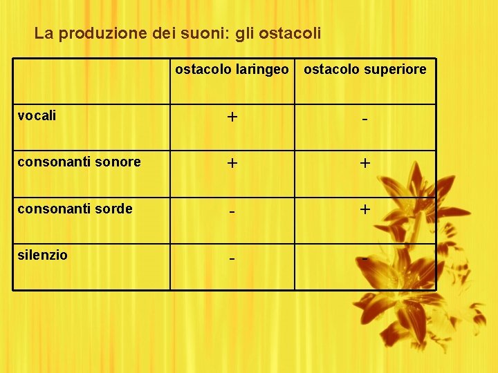 La produzione dei suoni: gli ostacolo laringeo ostacolo superiore vocali + - consonanti sonore