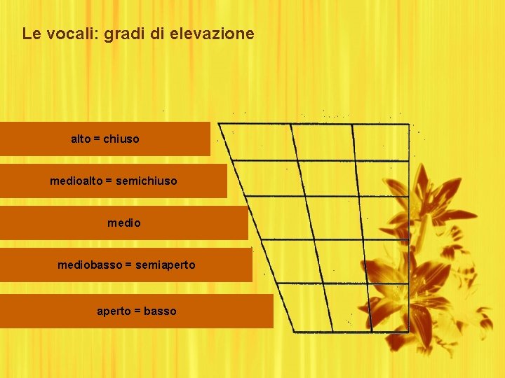 Le vocali: gradi di elevazione alto = chiuso medioalto = semichiuso mediobasso = semiaperto