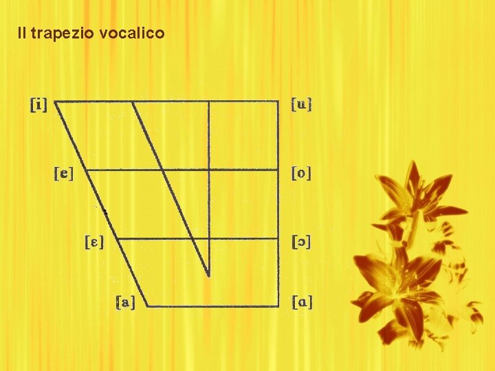 Il trapezio vocalico 