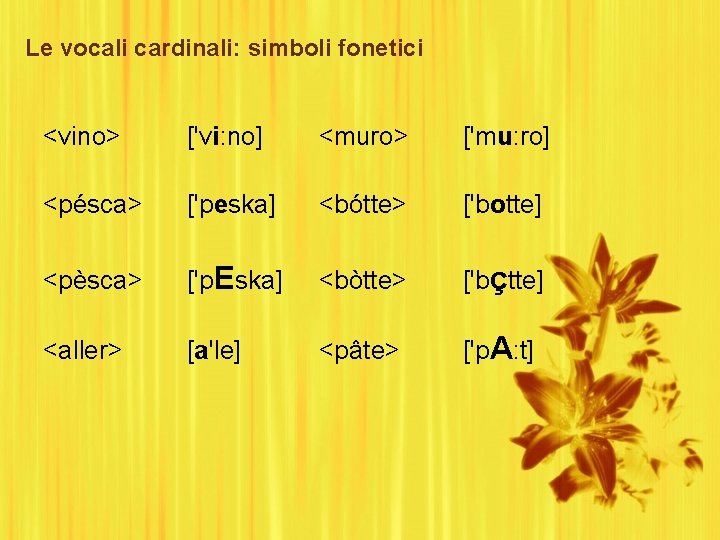 Le vocali cardinali: simboli fonetici <vino> ['vi: no] <muro> ['mu: ro] <pésca> ['peska] <bótte>