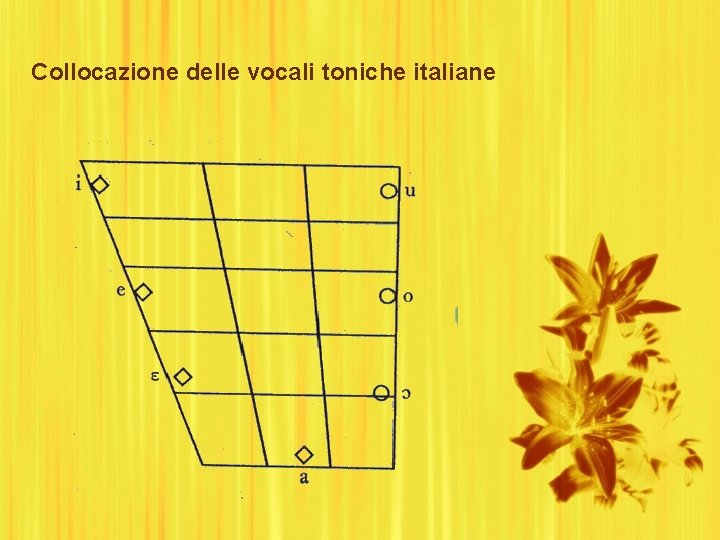 Collocazione delle vocali toniche italiane 