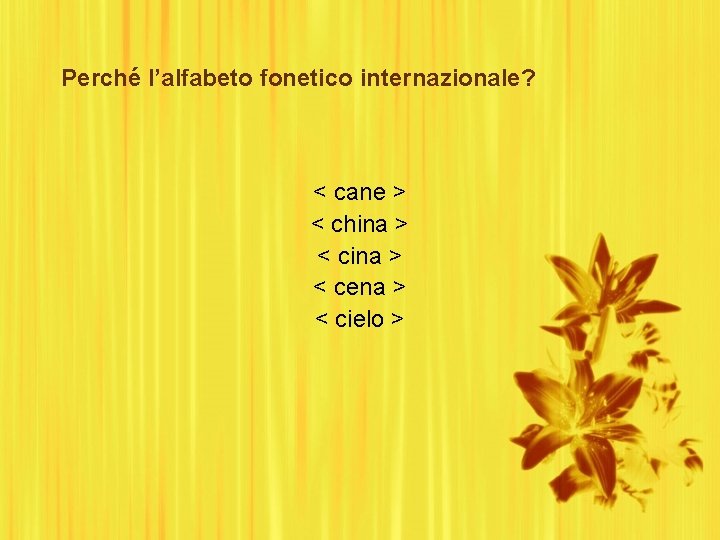 Perché l’alfabeto fonetico internazionale? < cane > < china > < cena > <