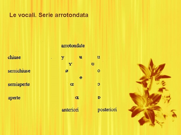 Le vocali. Serie arrotondata 