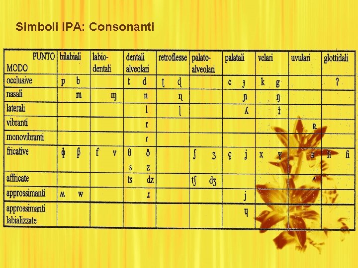 Simboli IPA: Consonanti 