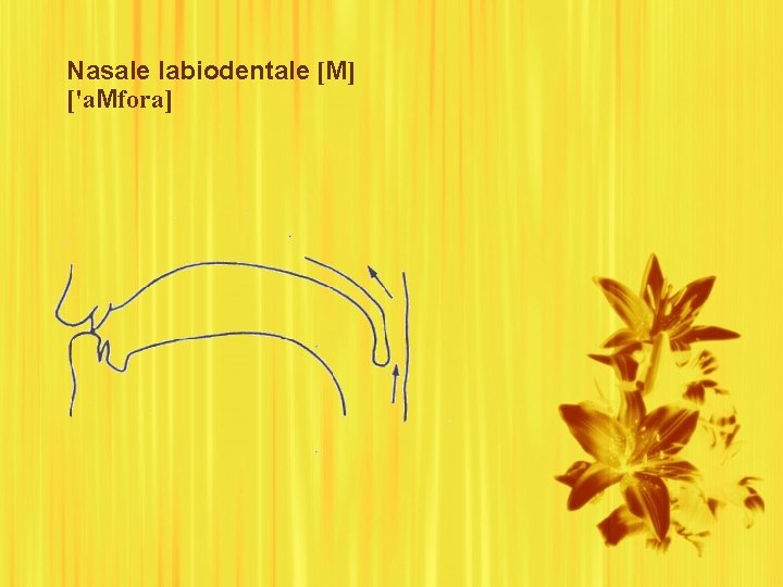 Nasale labiodentale [M] ['a. Mfora] 