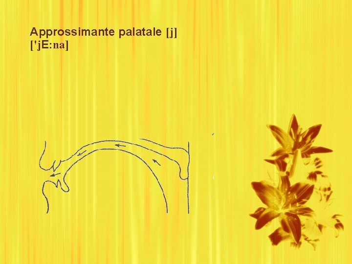 Approssimante palatale [j] ['j. E: na] 