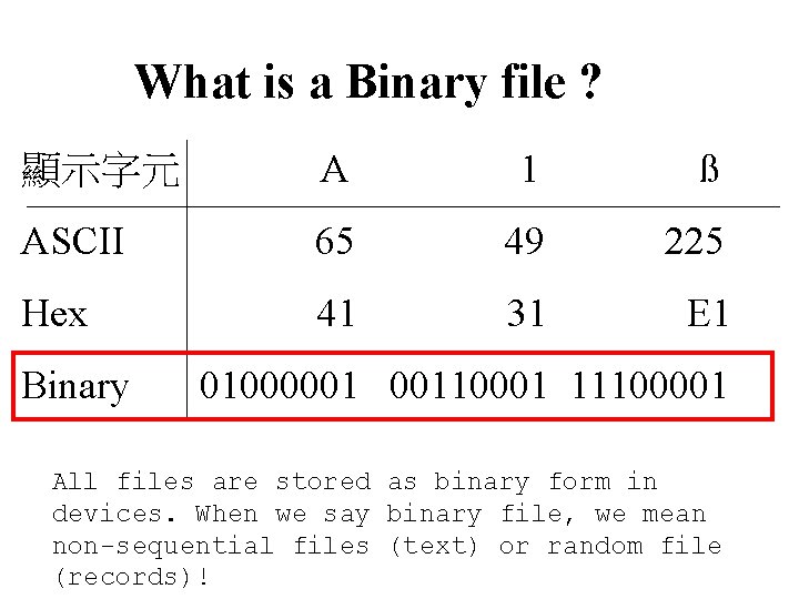 What is a Binary file ? 顯示字元 A 1 ß ASCII 65 49 225 What is a Binary file ? 顯示字元 A 1 ß ASCII 65 49 225