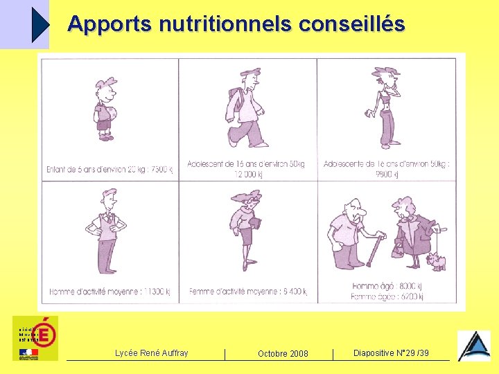 Apports nutritionnels conseillés Lycée René Auffray Octobre 2008 Diapositive N° 29 /39 