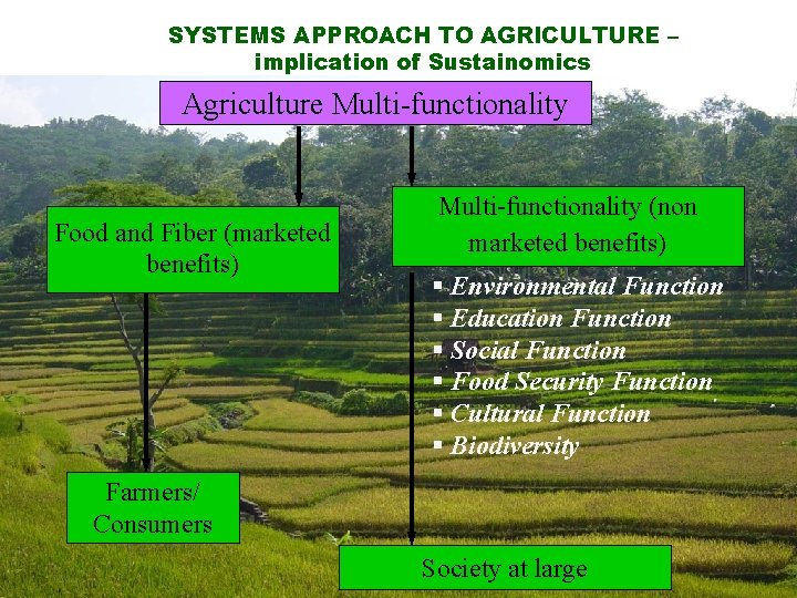 SYSTEMS APPROACH TO AGRICULTURE – implication of Sustainomics Agriculture Multi-functionality Food and Fiber (marketed