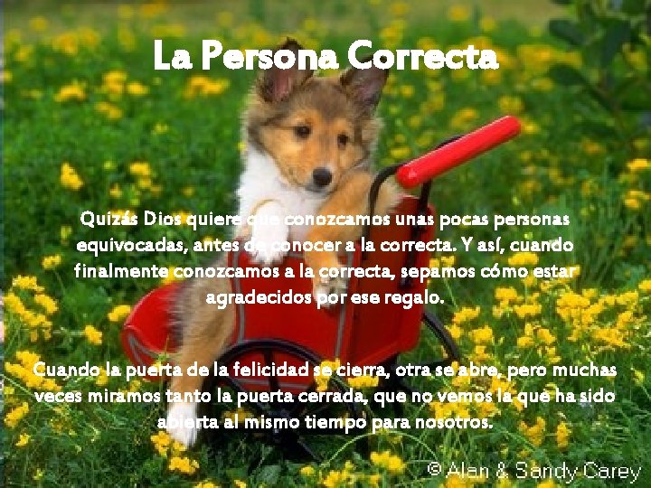 La Persona Correcta Quizás Dios quiere que conozcamos unas pocas personas equivocadas, antes de