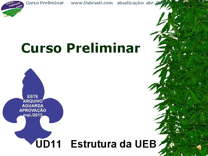 Curso Preliminar www. lisbrasil. com atualização: abr. /2013 Curso Preliminar UD 11 Estrutura da