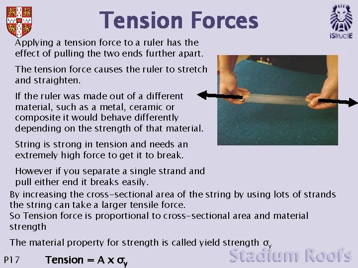 Tension Forces Applying a tension force to a ruler has the effect of pulling