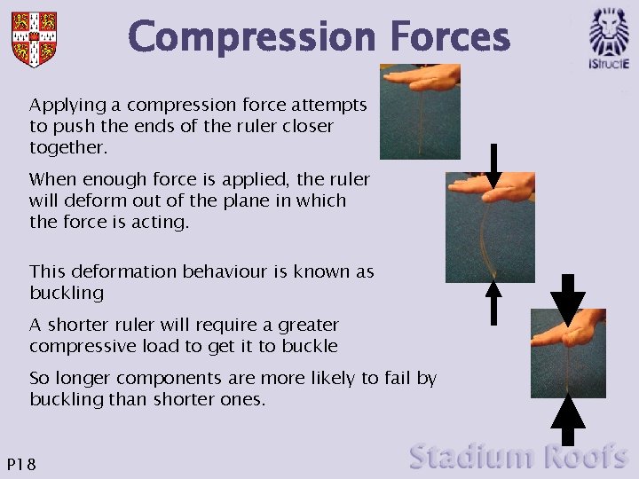 Compression Forces Applying a compression force attempts to push the ends of the ruler