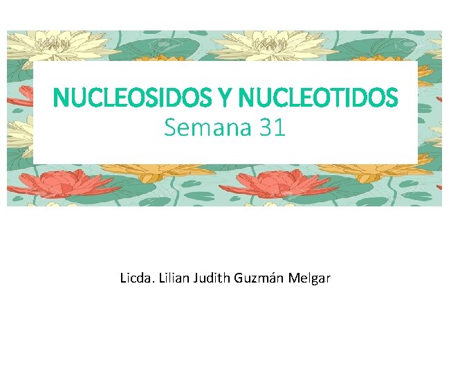 NUCLEOSIDOS Y NUCLEOTIDOS Semana 31 Licda. Lilian Judith Guzmán Melgar 