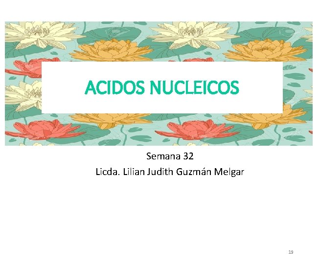 ACIDOS NUCLEICOS Semana 32 Licda. Lilian Judith Guzmán Melgar 19 