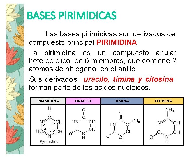 BASES PIRIMIDICAS Las bases pirimídicas son derivados del compuesto principal PIRIMIDINA. La pirimidina es