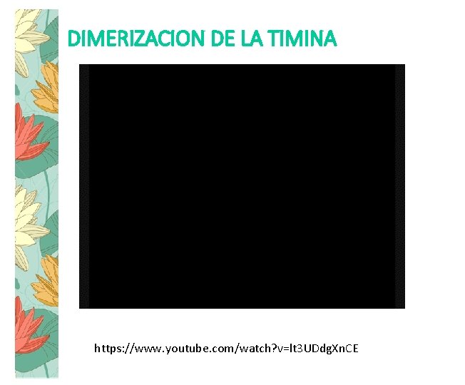 DIMERIZACION DE LA TIMINA https: //www. youtube. com/watch? v=lt 3 UDdg. Xn. CE 