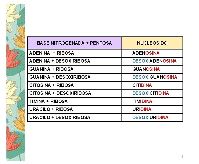 BASE NITROGENADA + PENTOSA NUCLEOSIDO ADENINA + RIBOSA ADENOSINA ADENINA + DESOXIRIBOSA DESOXIADENOSINA GUANINA