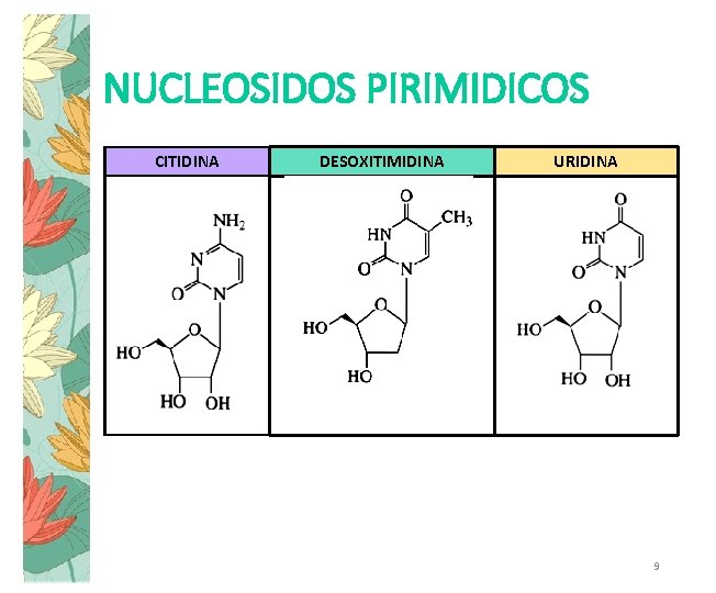 NUCLEOSIDOS PIRIMIDICOS CITIDINA DESOXITIMIDINA URIDINA 9 