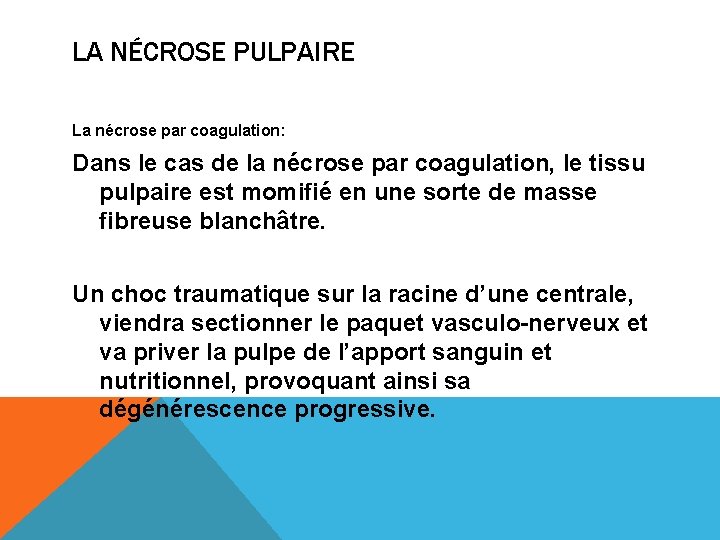 LA NÉCROSE PULPAIRE La nécrose par coagulation: Dans le cas de la nécrose par