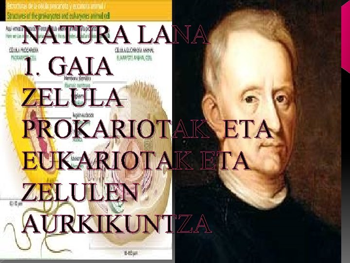 NATURA LANA 1. GAIA ZELULA PROKARIOTAK ETA EUKARIOTAK ETA ZELULEN AURKIKUNTZA 