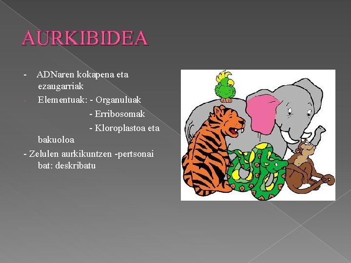 AURKIBIDEA - ADNaren kokapena eta ezaugarriak - Elementuak: - Organuluak - Erribosomak - Kloroplastoa