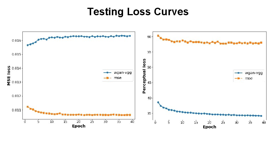 Testing Loss Curves 