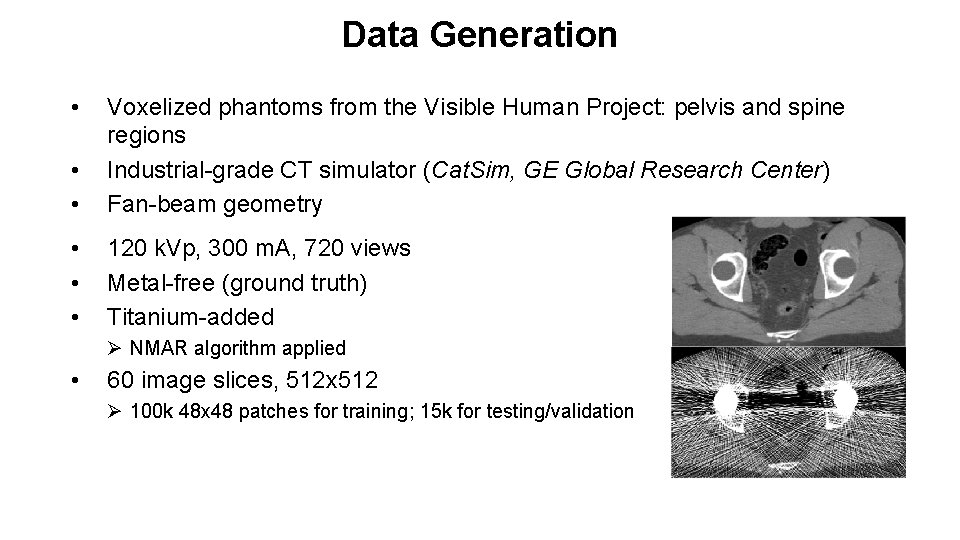 Data Generation • • • Voxelized phantoms from the Visible Human Project: pelvis and